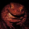 bloodredfrog