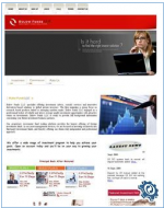 Bulowfunds.com - Bulow Funds_1267770530948.png