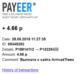 2015-06-28 14-35-10 Письмо «Payment Received» — Payeer.com — Яндекс.Почта - Mozilla Firefox.png