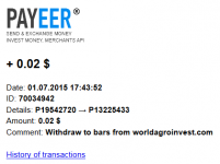 2015-07-02 12-33-19 Письмо «Payment Received» — Payeer.com — Яндекс.Почта - Mozilla Firefox.png