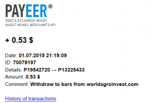 2015-07-02 12-34-24 Письмо «Payment Received» — Payeer.com — Яндекс.Почта - Mozilla Firefox.png