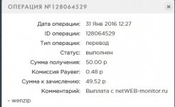 Выплата NetWeb monitor.jpg