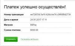 BitPay-dep-500.png