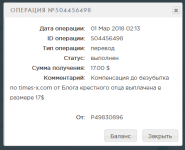 Screenshot-2018-3-1 История Payeer® E-Wallet (2).png