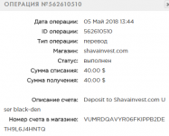 FireShot Capture 118 - История I Payeer® E-Wallet - https___payeer.com_ru_account_history_.png