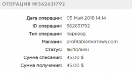 FireShot Capture 119 - История I Payeer® E-Wallet - https___payeer.com_ru_account_history_.png