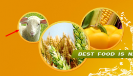 Agromatica.biz - Best food is natural food.png