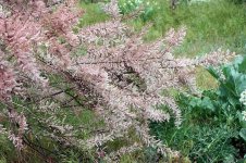 1005120063-800.jpg 1005120063-800.jpg