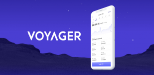 Voyager-Trading-Logo-and-Demo-Screen.png