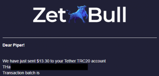 «ZetBull.com - New Payment» — noreply@zetbull.com.png