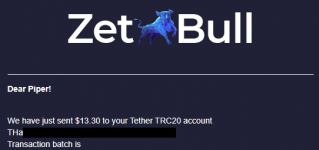 2021-06-01 11_56_10-«ZetBull.com - New Payment».png