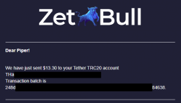 2021-06-04 13_31_47-«ZetBull.com - New Payment» — noreply@zetbull.com.png