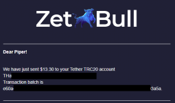 2021-06-08 01_34_57-«ZetBull.com - New Payment» — noreply@zetbull.com.png