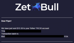 2021-06-08 17_37_44-«ZetBull.com - New Payment» — noreply@zetbull.com.png