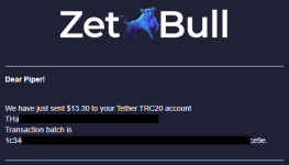 2021-06-09 18_56_49-«ZetBull.com - New Payment» — noreply@zetbull.com.png