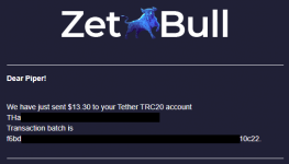 2021-06-10 15_35_32-«ZetBull.com - New Payment» — noreply@zetbull.com.png