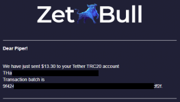 2021-06-11 17_24_05-«ZetBull.com - New Payment» — noreply@zetbull.com.png