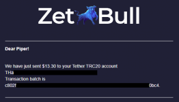 2021-06-14 21_36_32-«ZetBull.com - New Payment» — noreply@zetbull.com.png