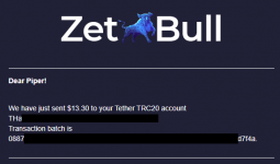 2021-06-16 07_56_57-«ZetBull.com - New Payment» — noreply@zetbull.com.png