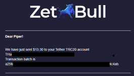 2021-06-17 21_26_24-«ZetBull.com - New Payment» — noreply@zetbull.com.png