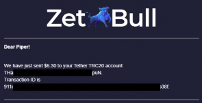 2021-08-11 19_46_13-Письмо «ZetBull.com - New Payment» — noreply@zetbull.com — Яндекс.Почта - ...png