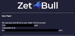 2021-08-14 21_22_16-Письмо «ZetBull.com - New Payment» — noreply@zetbull.com — Яндекс.Почта - ...png