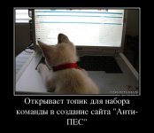 84536221_otkryivaet-topik-dlya-nabora-komandyi-v-sozdanie-sajta-anti-pes.jpg