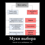 363161_muki-vyibora_demotivators_ru.png