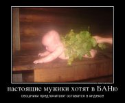 337177_nastoyaschie-muzhiki-hotyat-v-banyu_demotivators_ru.jpg