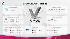 Vyvo Group.jpg