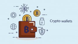 What-is-Crypto-Wallet-What-Are-Different-Types-of-Crypto-Wallets.jpg