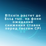 Биток на фоне.jpg