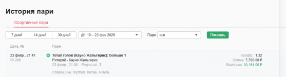 отчет по кауно.png