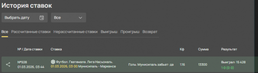 отчт по мануципалетету.png