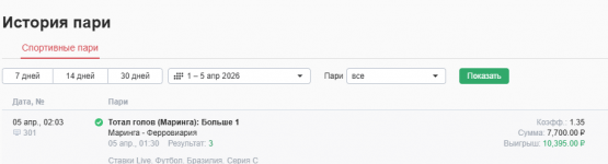 отчет по маринга - ферровария.png