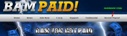 BAMPAID Login.png