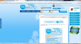 pmprofit.com.jpg