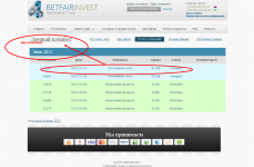 Betfairinvest   Статус платежей.png