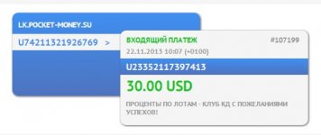 Карманные Деньги.jpg