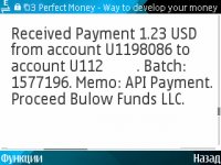 12.11.2009 bulowfunds.com.jpg