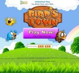 1.07 bird's town_sm.jpg