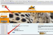 2014-09-23 11-33-54 Gepard Alliance - Google Chrome.jpg