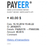 RSQ Payment.png