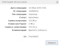 оплата ждман 4.02.15.jpg