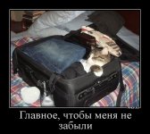 чемодан.jpg