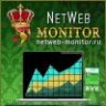 NETWEB-monitor