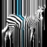 Zebra369