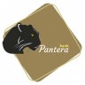 pantera-bank