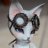 AbyCAt