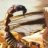scorpion_0